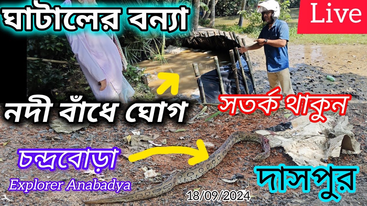 ঘাটালে বন্যা পরিস্থিতির অবনতি | দাসপুরে কৈজুরী নদীবাঁধে  ঘোগ পড়েছে | Ghatal Daspur Flood Update