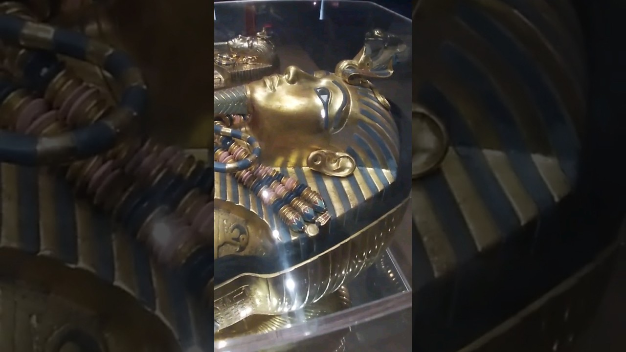 A look inside King Tuts coffin #Tombrader #COSI #Tutstomb
