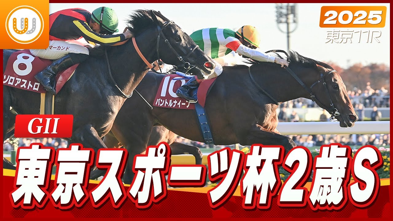 【レース映像】東京11R 東京スポーツ杯2歳ステークス（GII）｜パントルナイーフ（C.ルメール）｜ウイニング競馬