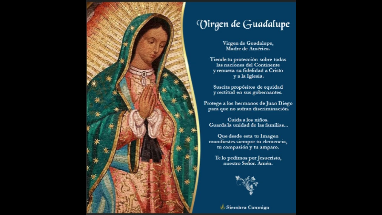 Bajo tu Manto de Estrellas (Virgen de Guadalupe)