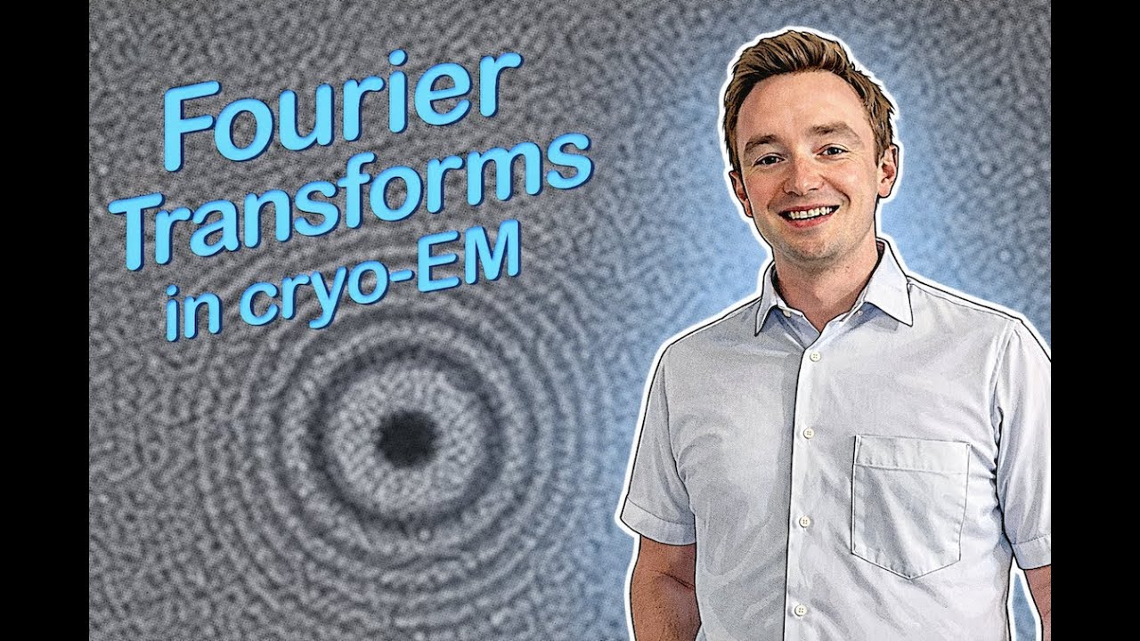 Fourier transforms in cryo-EM | Convolution, Gaussian filters, Fourier Shell Correlation, FFT