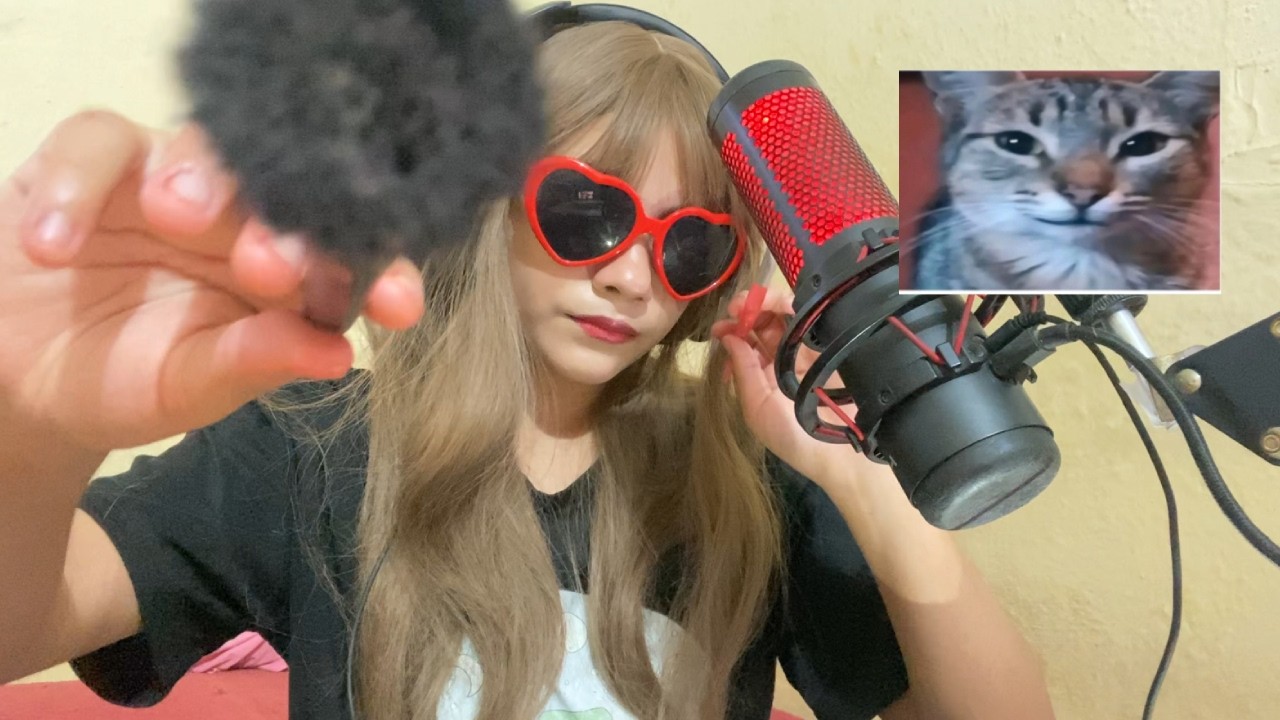 asmr en español ₊˚‧  asmr visual con brocha 𖹭