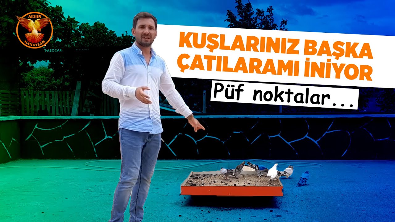 Güvercin eğitim videosu / Güvercin ve kuşçuluk
