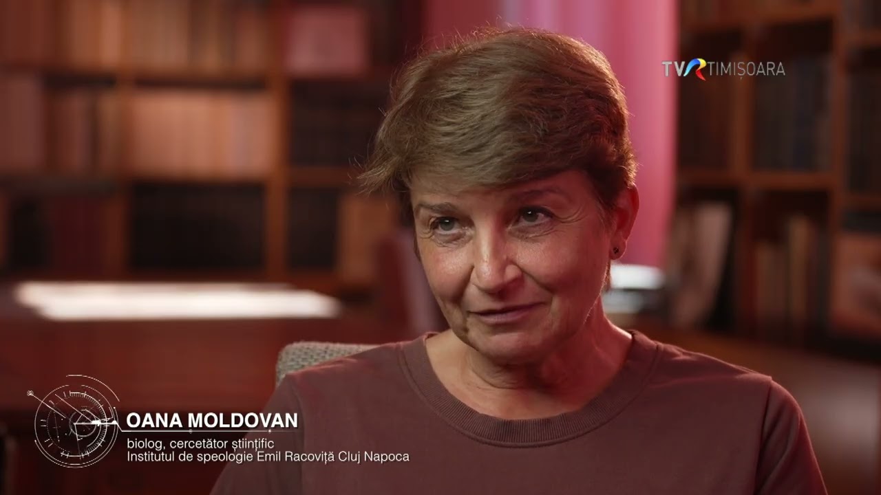 Primii oameni din Europa. Descoperiri în peșteri din Banatul Montan (II) #IstoriiAscunse  @TVRTM ​