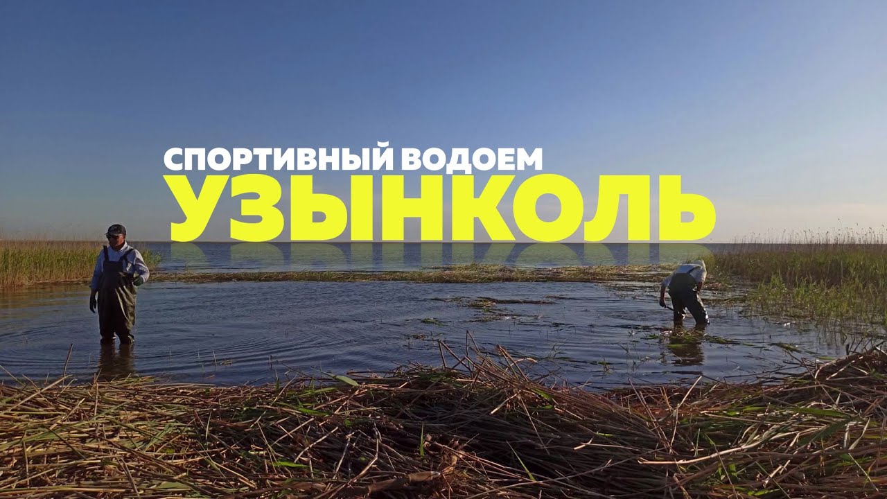 Водоем Узынколь благоустройтсво и подготовка секторов для спортивной ловли в зоне 