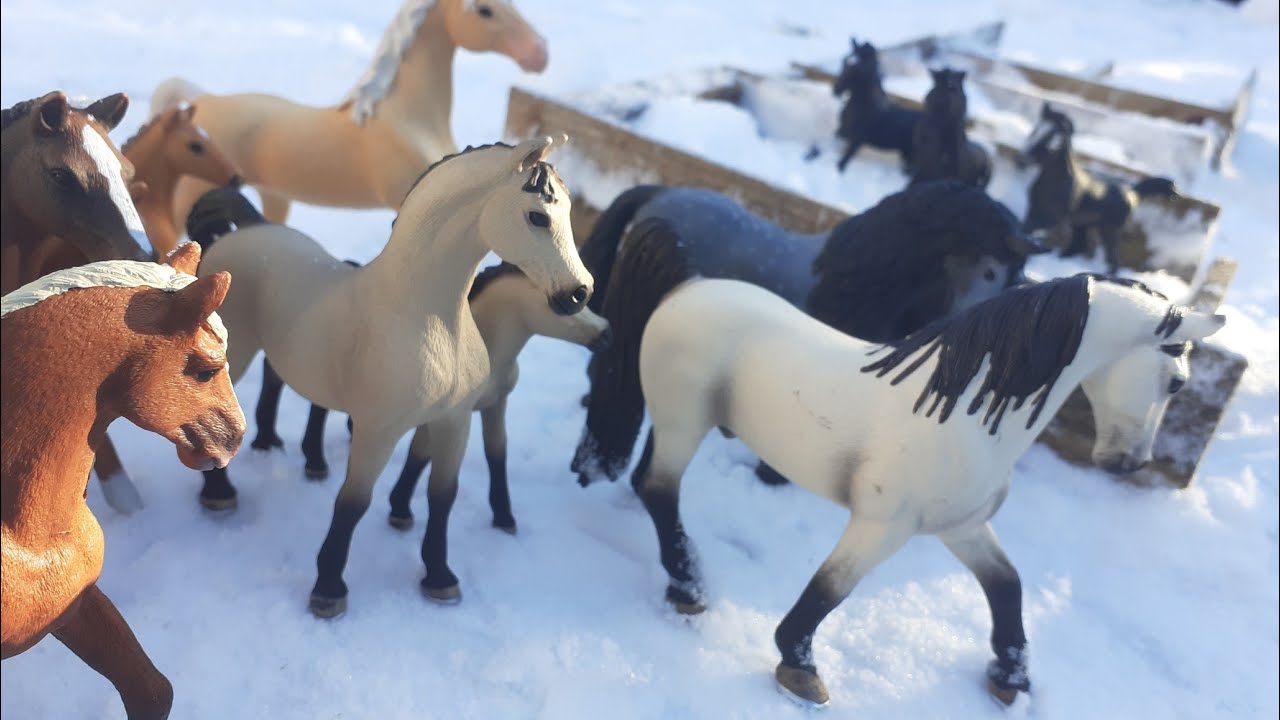 Die schwarze Herde|Schleich Serie|Folge 1 STAFFEL 2❤3000 Abospecial!😘