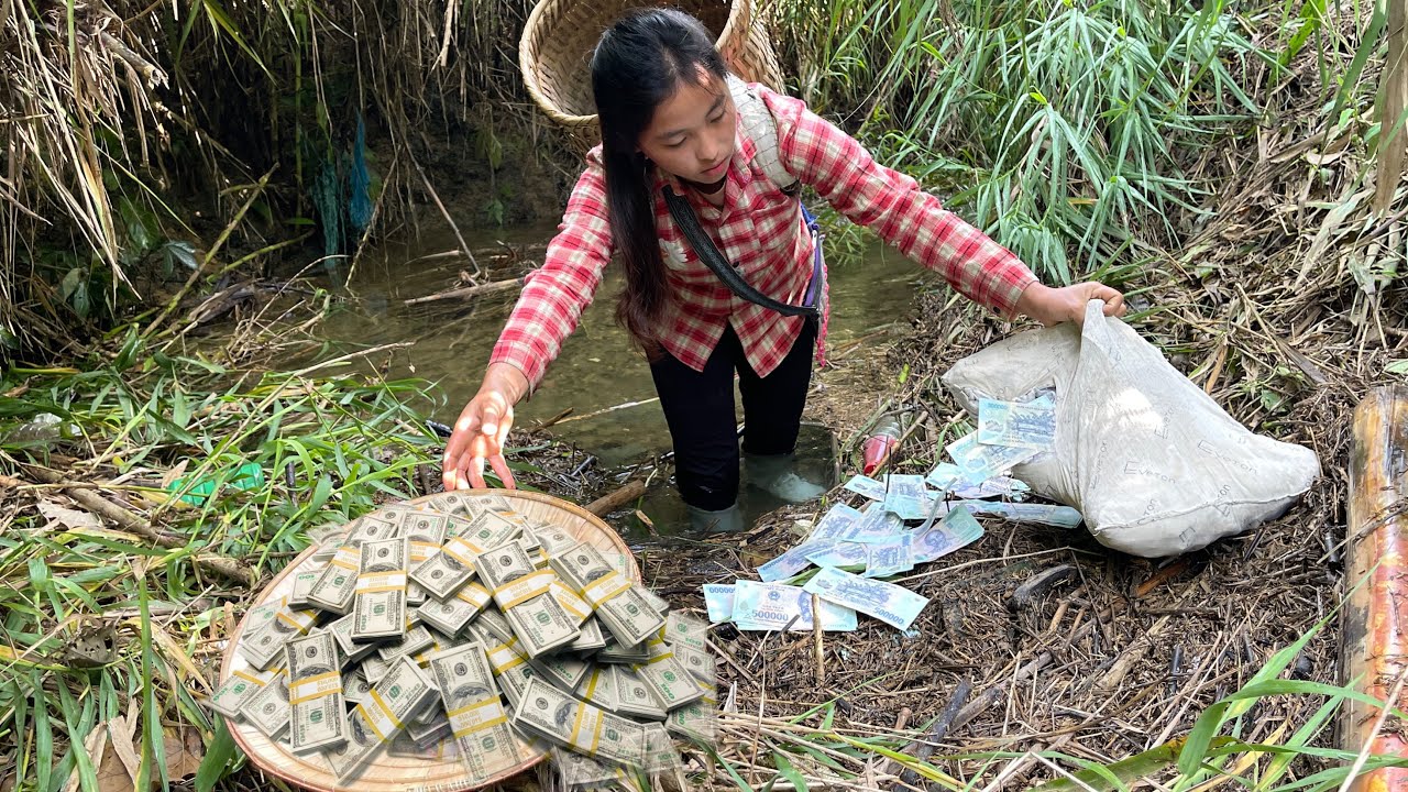 Unexpectedly discovered a lot of money hidden under water, behind flower pots that were washed away