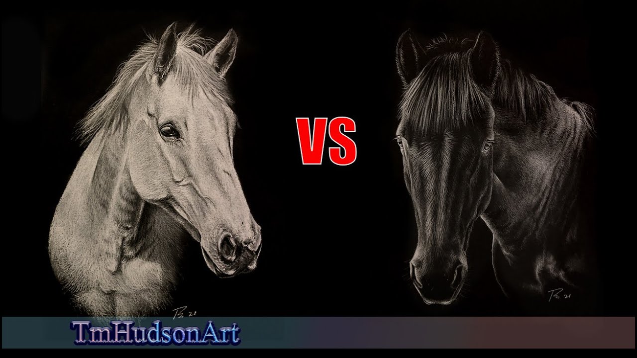 Drawing a white horse Vs drawing a black horse using white charcoal on black paper.