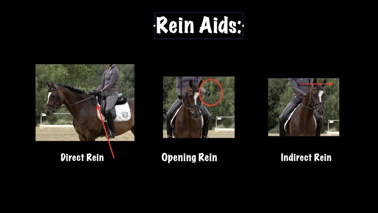 Rein Aids: Direct, Opening, and Indirect Rein Aids