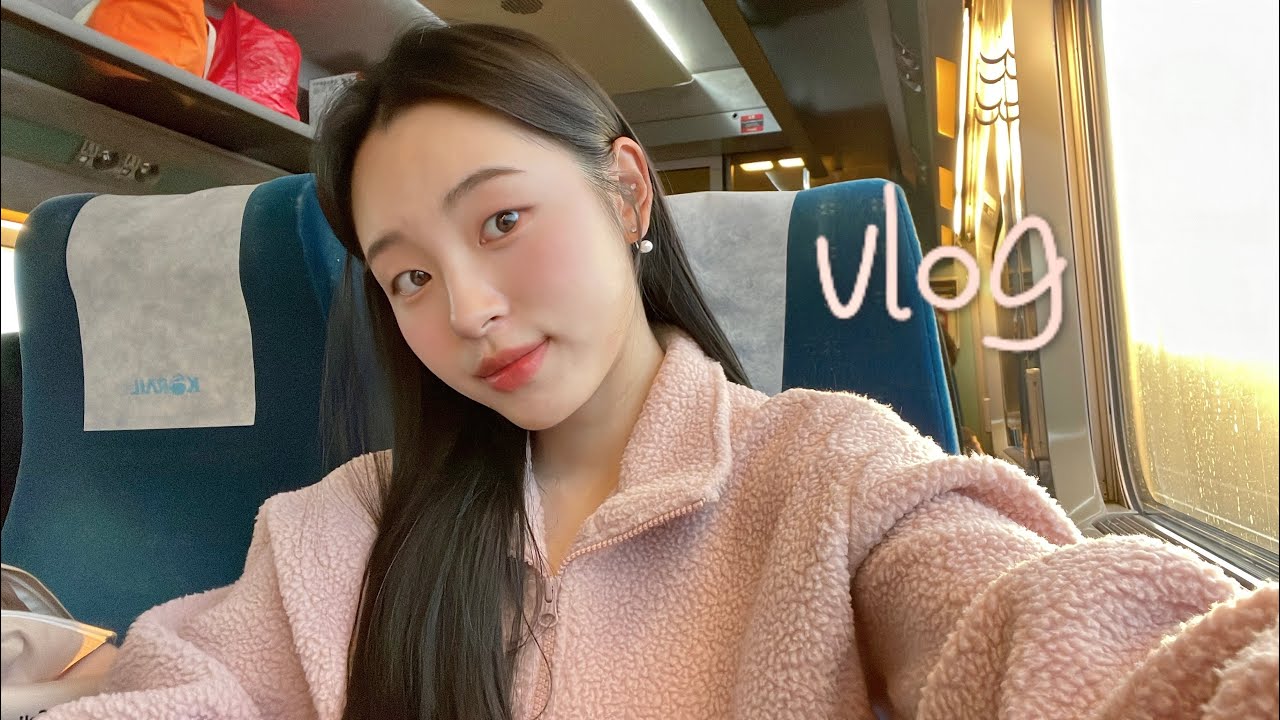 3개월간의 여정 그리고 3일간의 서울 (최종면접 후기, 취준 브이로그)