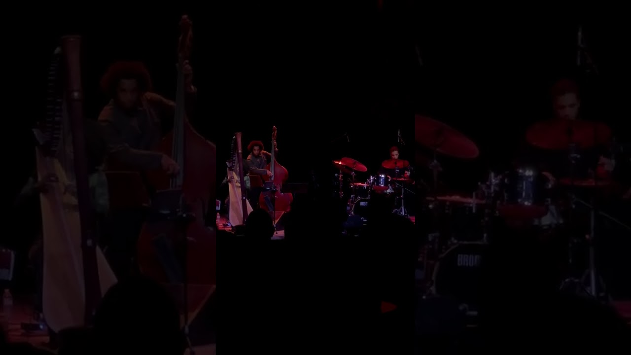 Ravi Coltrane, Brandee Younger 