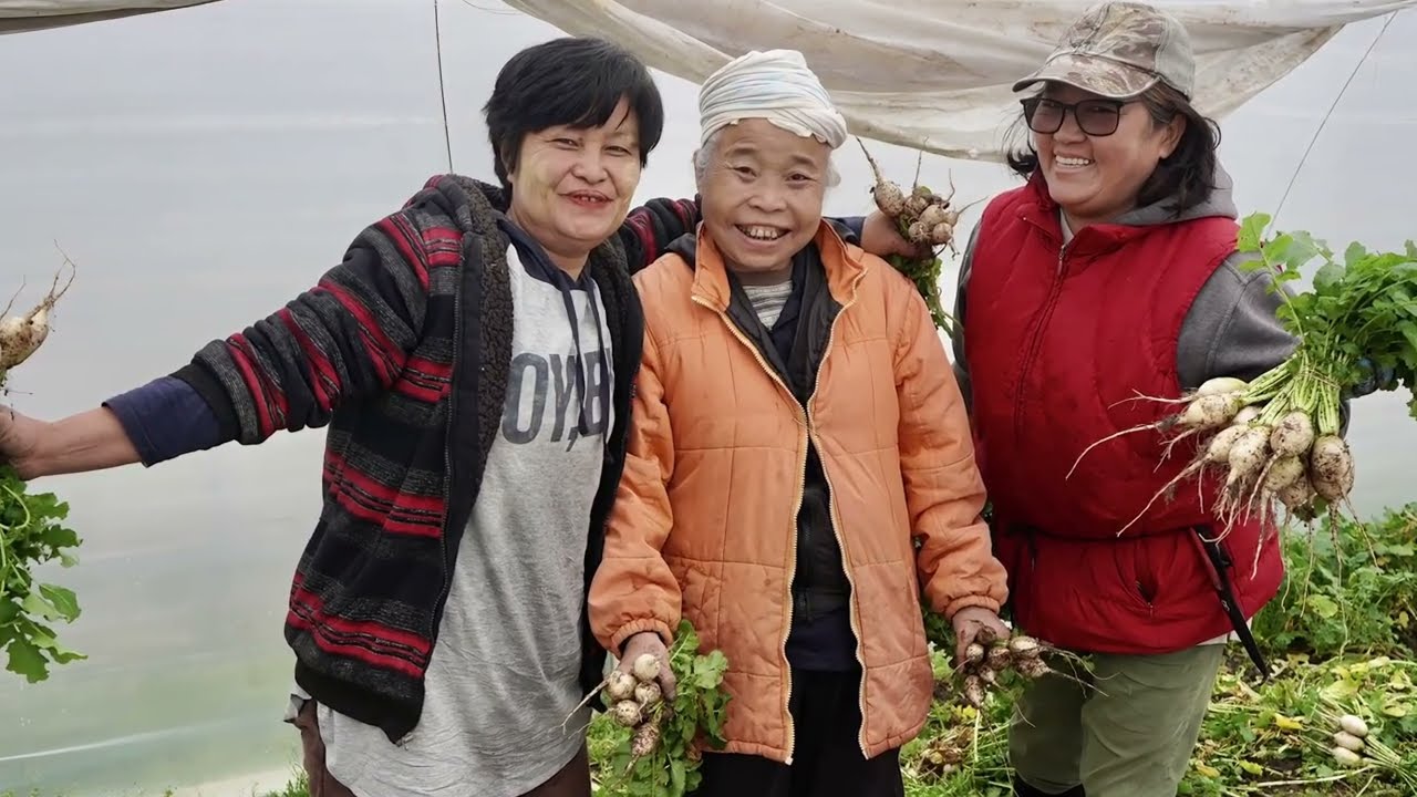 Transplanting Traditions: Putting down new roots in Chapel Hill