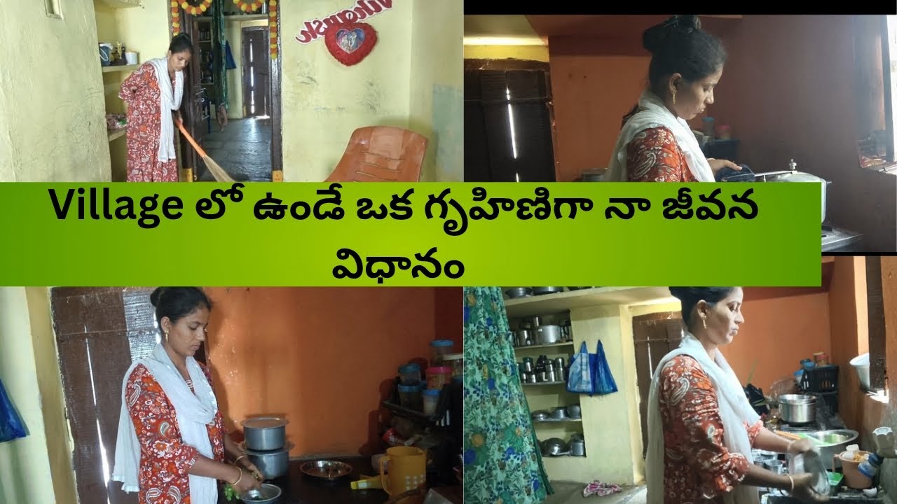 Village లో ఉంటూ ప్రతిరోజు నేను చేసుకునే పనులు 