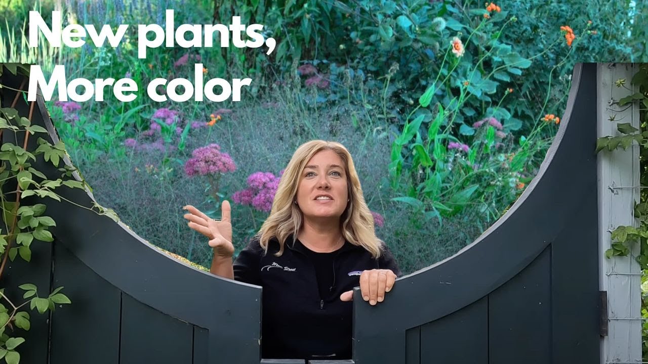 Sunny entry garden tour + raised veg garden