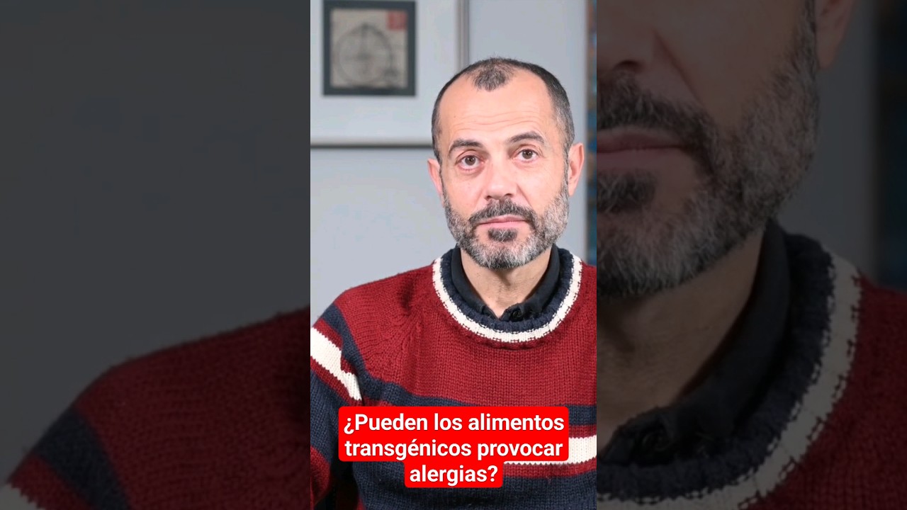 ¿Pueden los alimentos transgénicos provocar alergias? 
