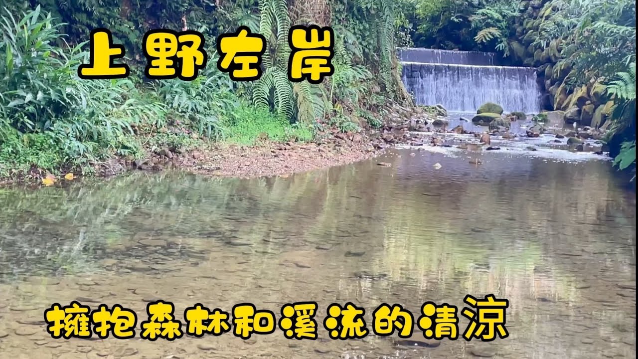 第65露 上野左岸B6區/1140704～0706/南投國姓/夏天擁抱森林和溪流的清涼