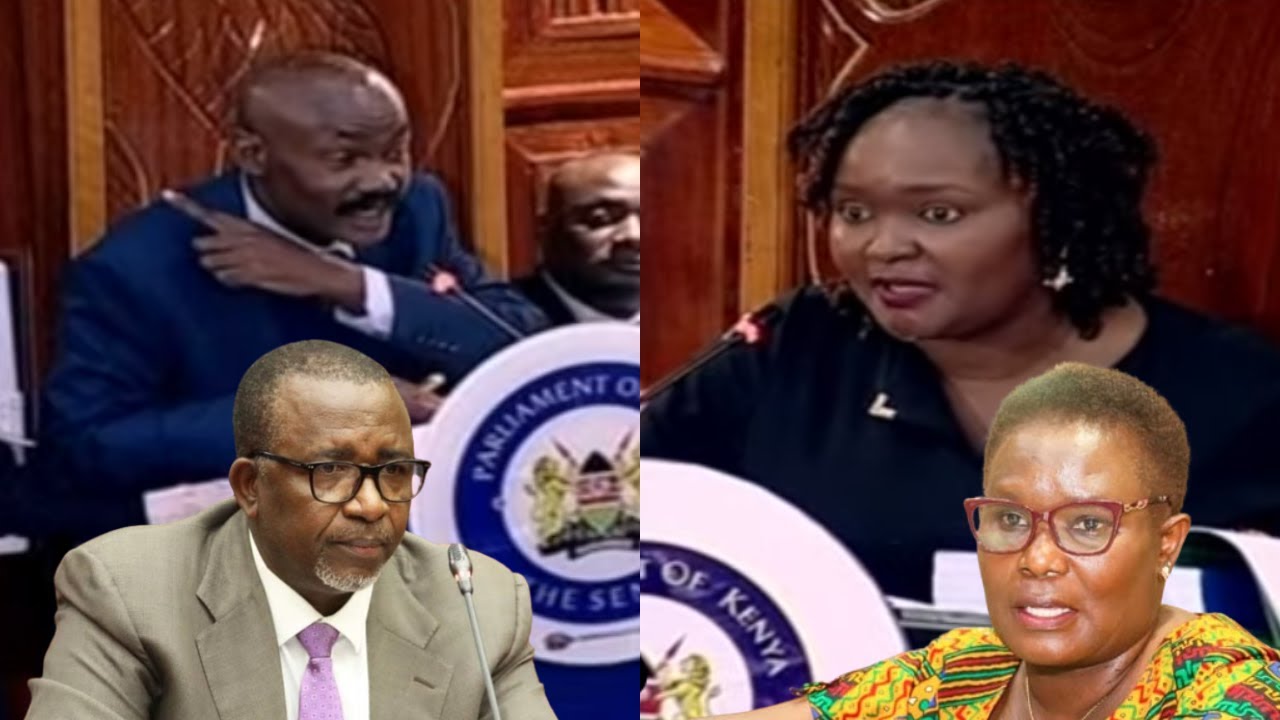 'Were you Linturi's running mate?' Verbal Heat in Senate as Kawira's Lawyer cross-examines a Witness