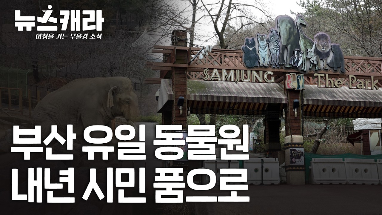 아침을 켜는 부울경 소식 | 260226 #뉴스캐라