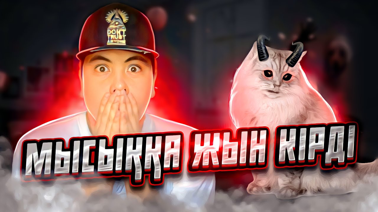 МЫСЫҚқа ДУХ кіргізсе НЕ болады?! / ЖЫН кіріп КЕТТІ!😰