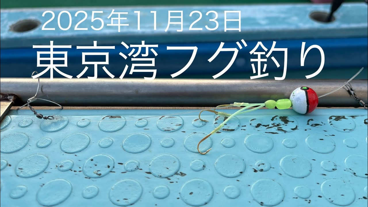 東京湾フグ釣り 2025年11月23日