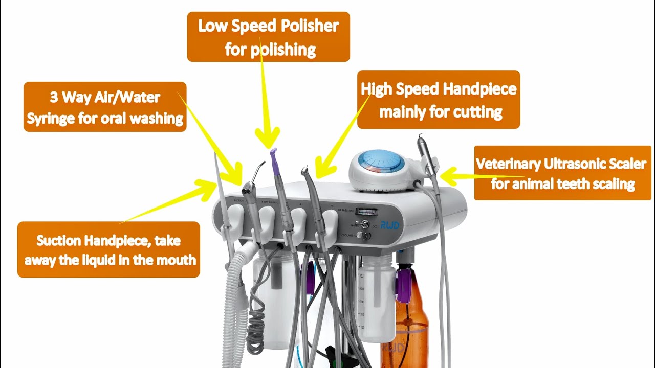 RWD D-pro Veterinary Dental Unit