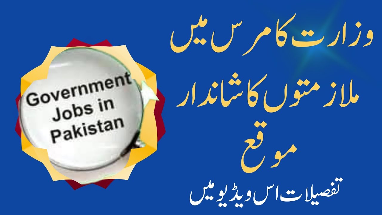 Ministry of Commerce Jobs | How To Apply Ministry of Commerce | New jobs| latest jobs | IT jobs