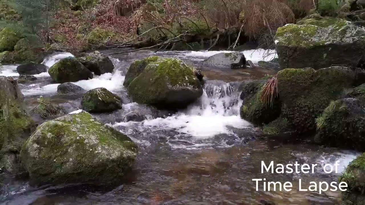 8-Hour Calming River Flow Relaxing Water Sounds Green Nature Landscape for Sleep Stress Relief ASMR