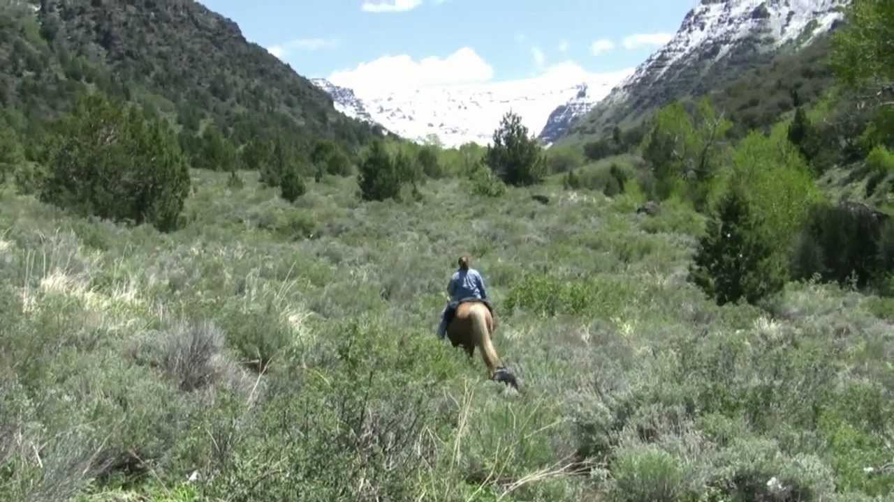 Big Indian Gorge.mp4