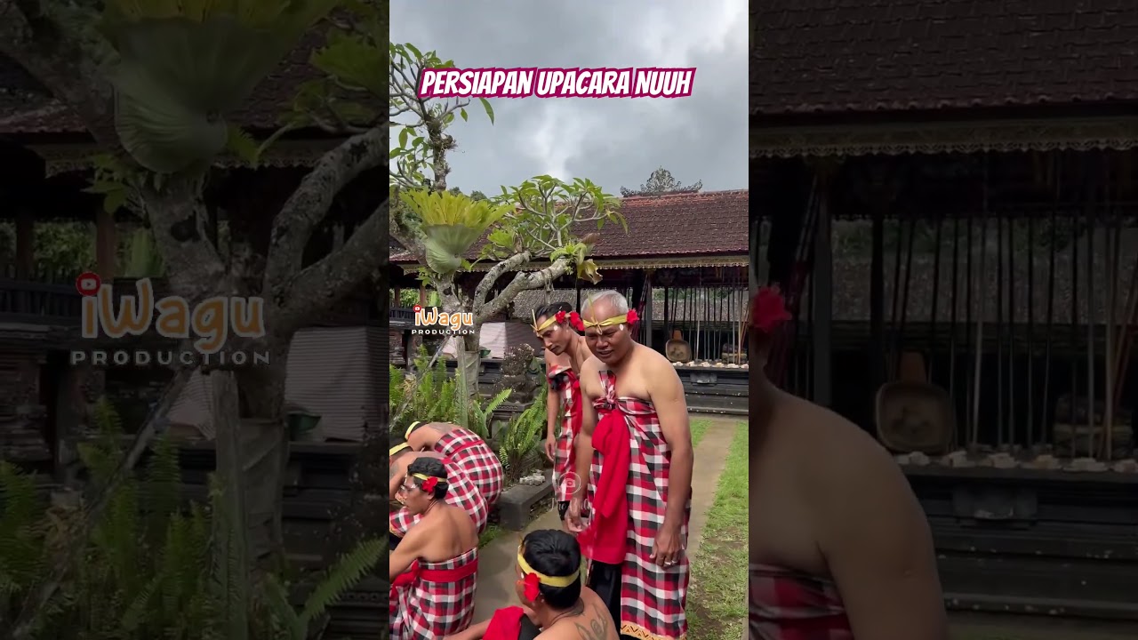Persiapan Tradisi NUUH atau Mejarag di Desa Sebatu #nuuh #mejarag #sebatu #tradisi #fyp