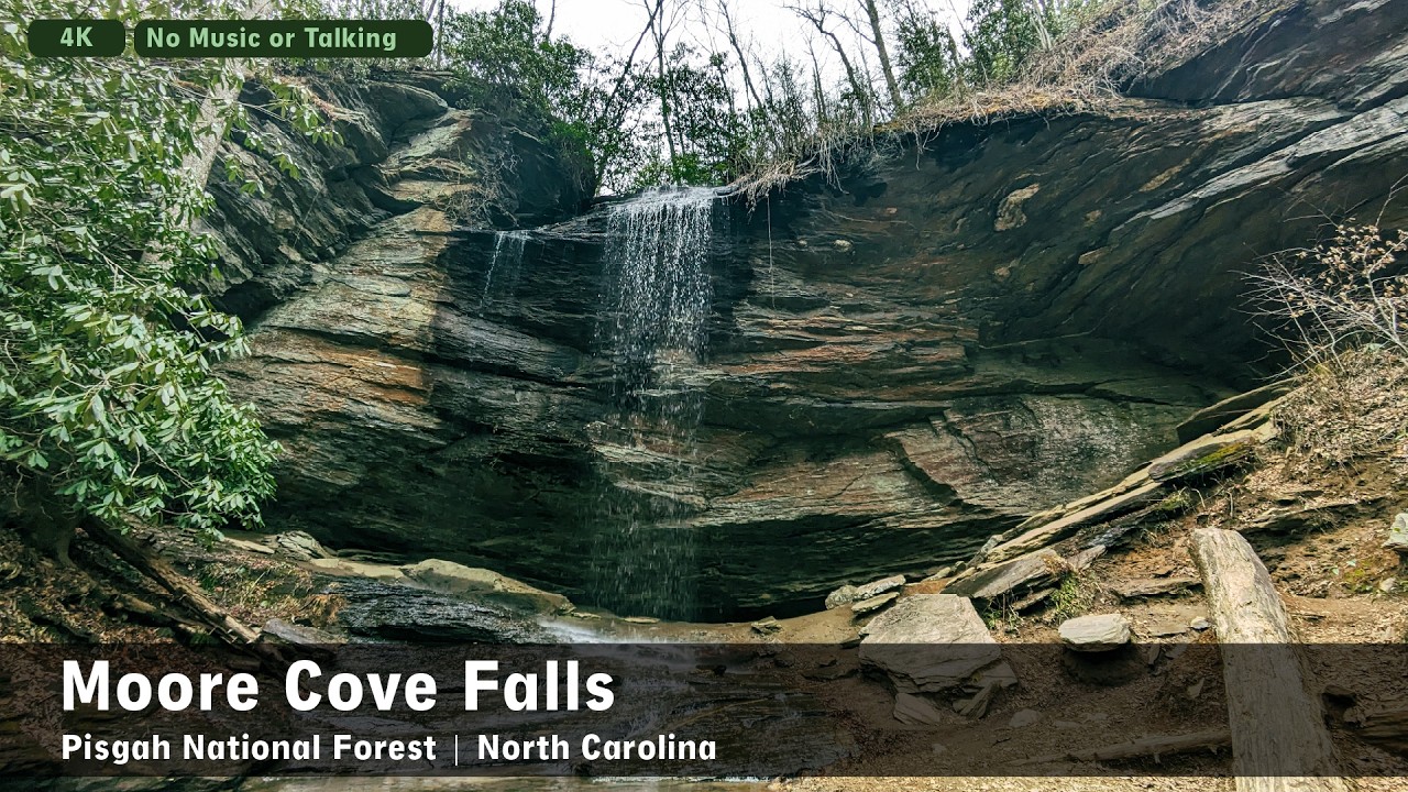 Virtual Walk - Hiking at Moore Cove Falls in North Carolina | No Music | Pisgah National Forest | 4K