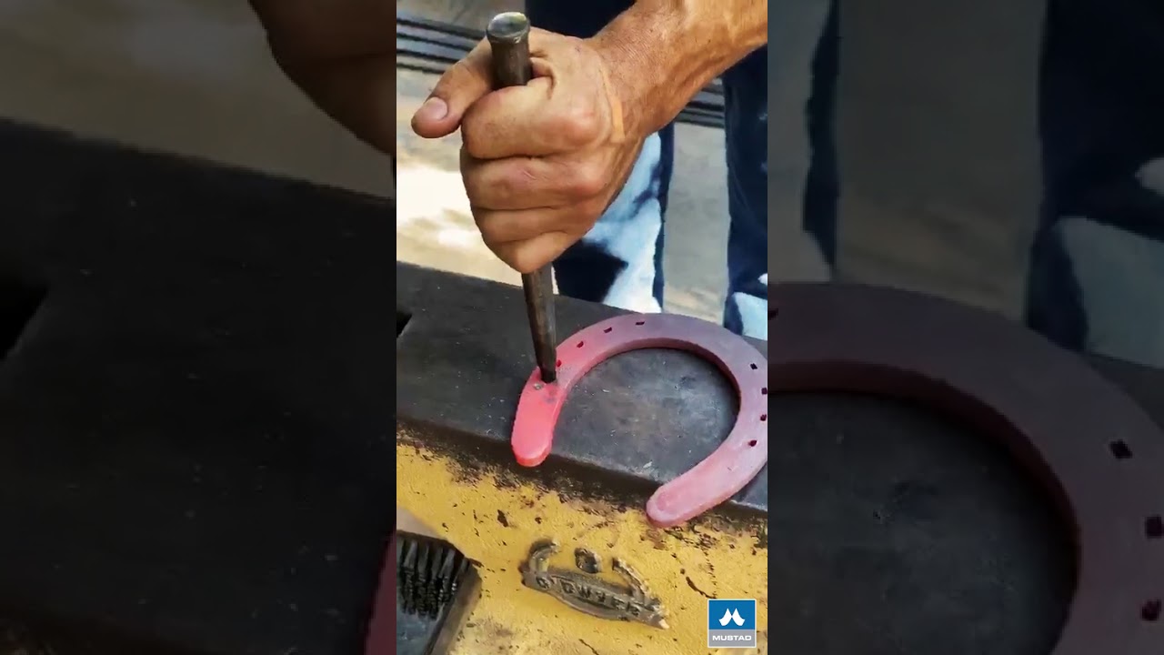 Ramplon en herradura en casa 🐴