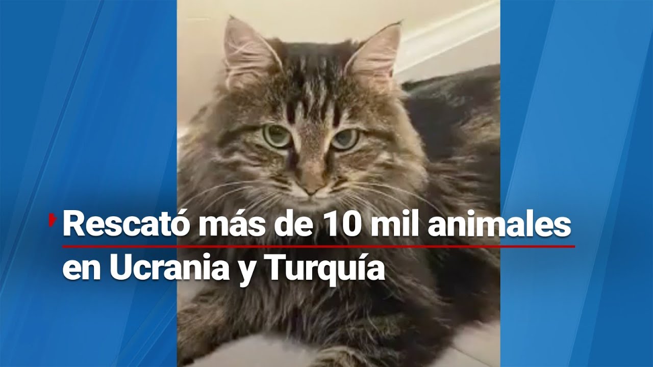 ¡AMOR A LA VIDA! | Shana Aufenkamp llegó hasta Ucrania para rescatar animales y refugiarlos
