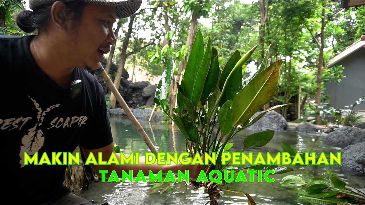 ВОДОПАД, СДЕЛАННЫЙ БОЛЕЕ ЕСТЕСТВЕННЫМ БЛАГОДАРЯ ДОБАВЛЕНИЮ ВОДНЫХ РАСТЕНИЙ - EPS. 10