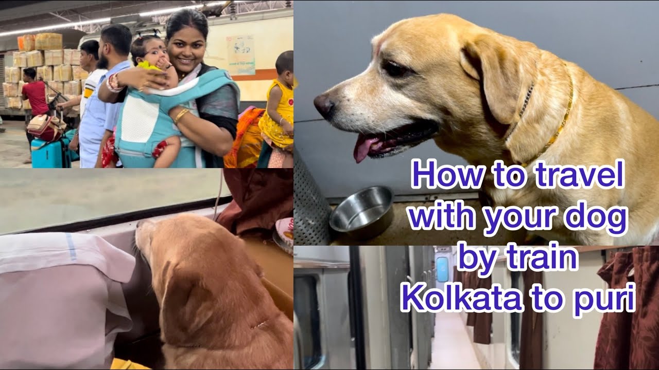 How to travel with your pet🐶by train | Kolkata to puri |  travel with your pet in Indian Railway 🚃