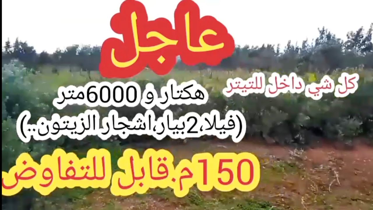 📢🗣️فيرمة هوتة فيلا،2بيار،أشجار الزيتون.. لي مهتم ميفلتهاش 🤩
