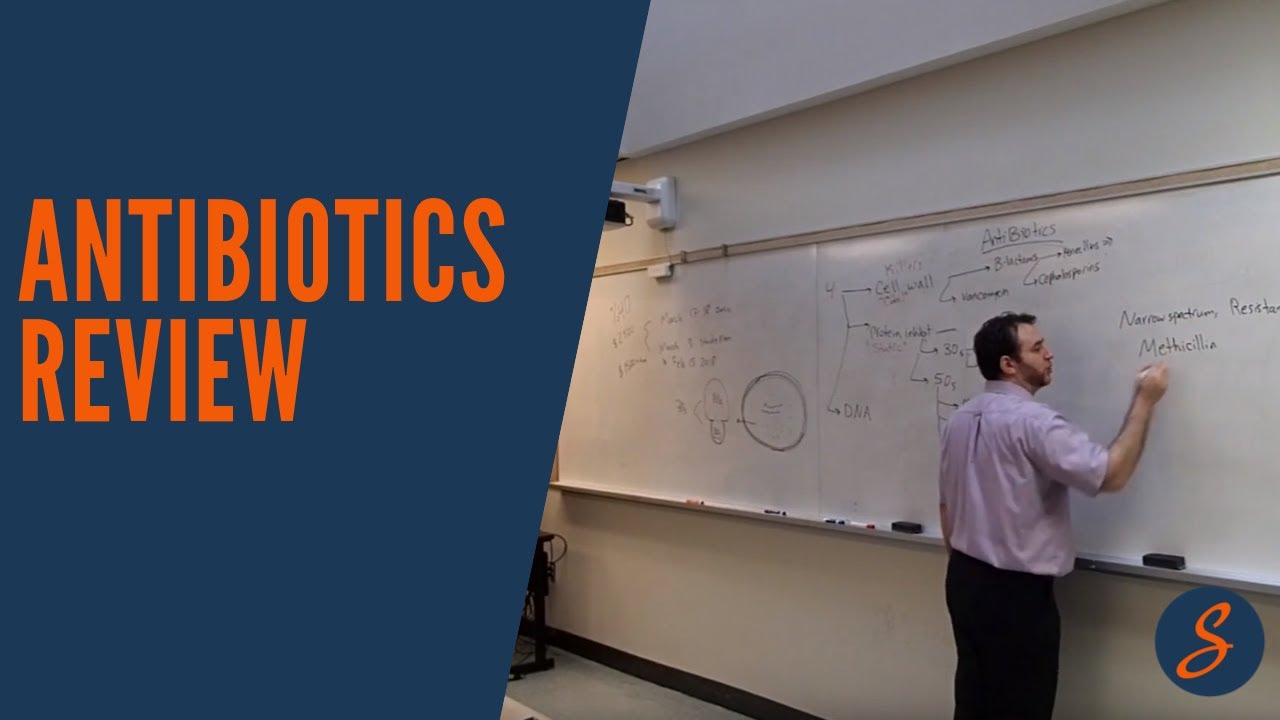 NBED NDEB AFK Exam: Antibiotics Review
