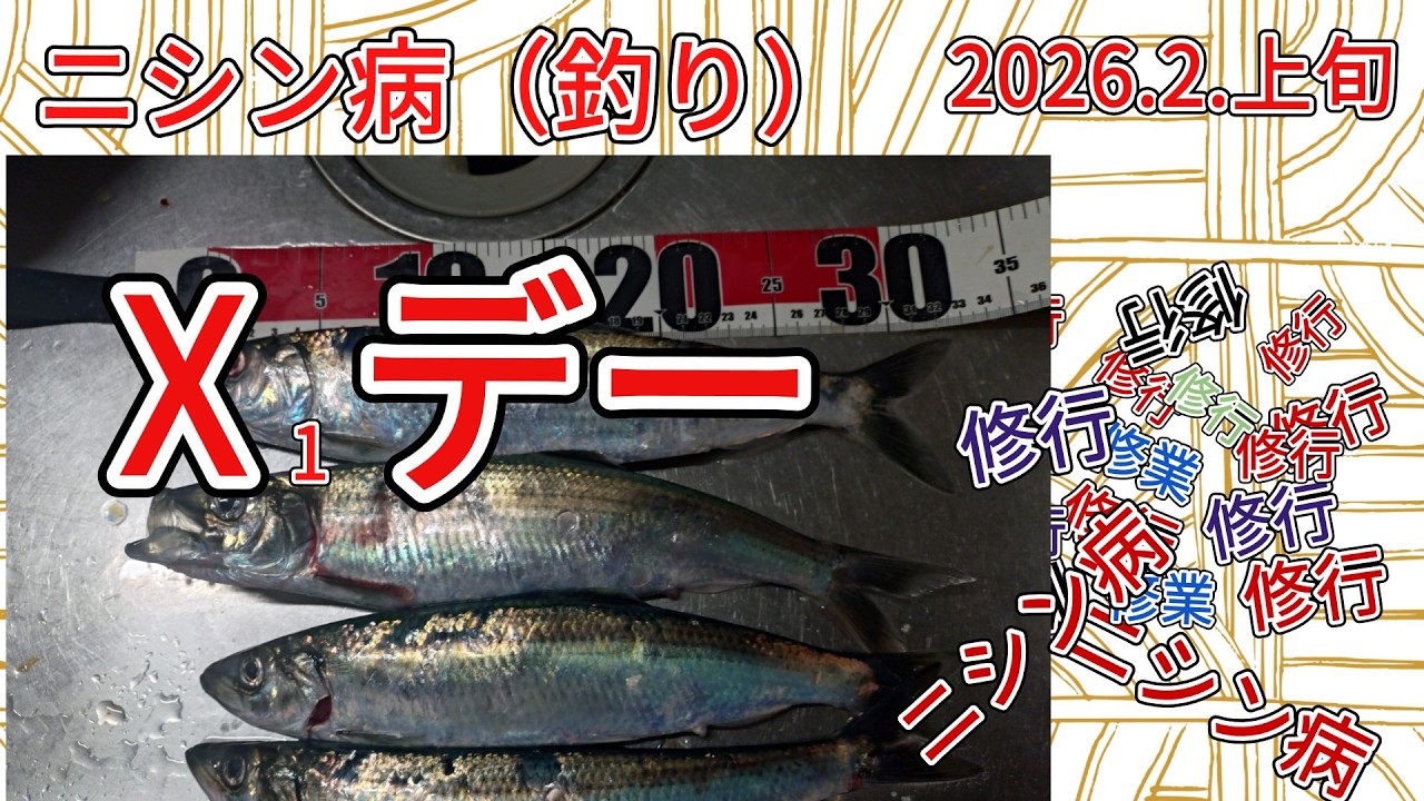ニシン釣り　Xデー　それでもニシン病は　完治せず　2026.2