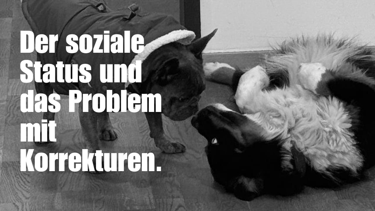 Wie dein sozialer Status die Wahrnehmung deines Hundes beeinflusst.
