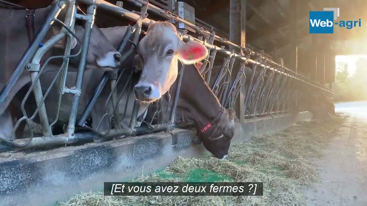 La ferme Ponte Vecchio en Italie