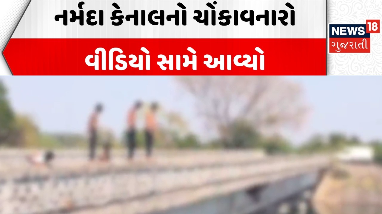 Kids stunt at Vadodara News | નર્મદા કેનાલનો ચોંકાવનારો વીડિયો સામે આવ્યો | Narmada Canal
