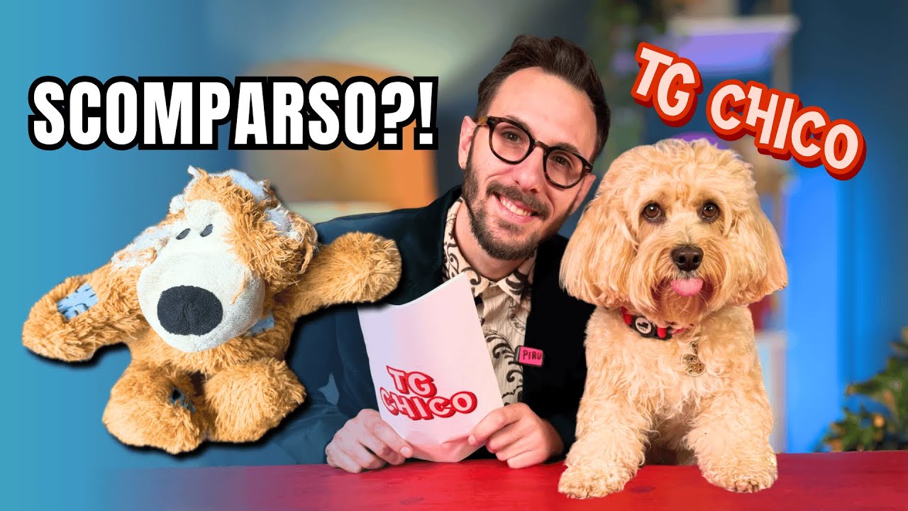 Tg CHICO - Solo notizie positive Ep.4