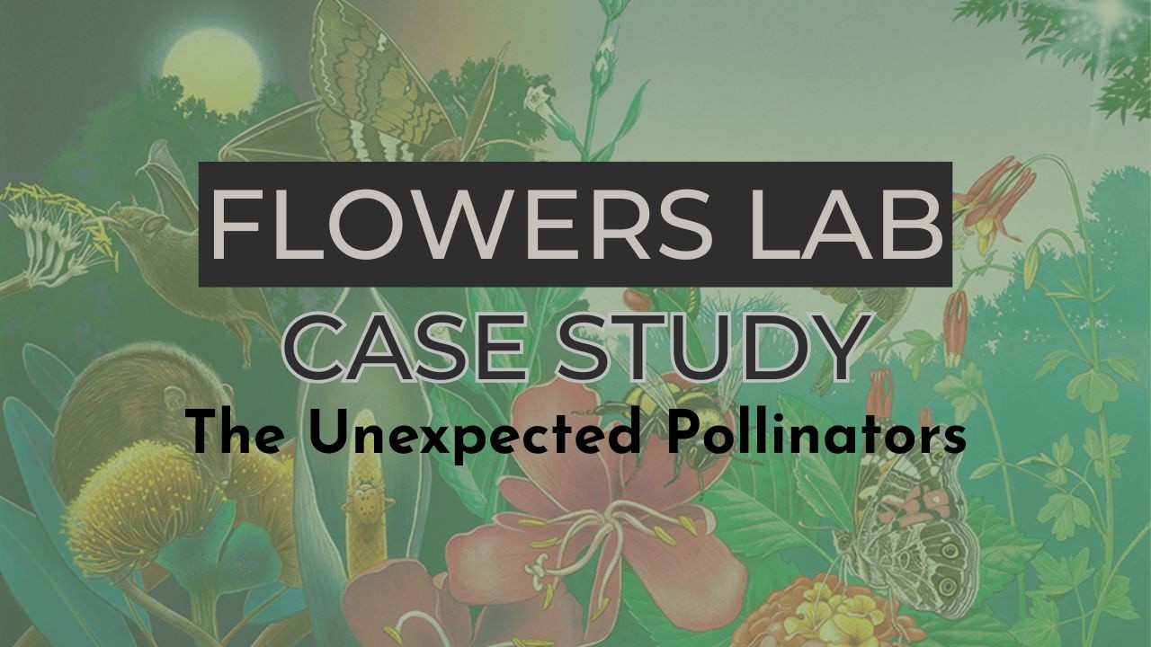 Flowers Lab: Unexpected Pollinators Case Study