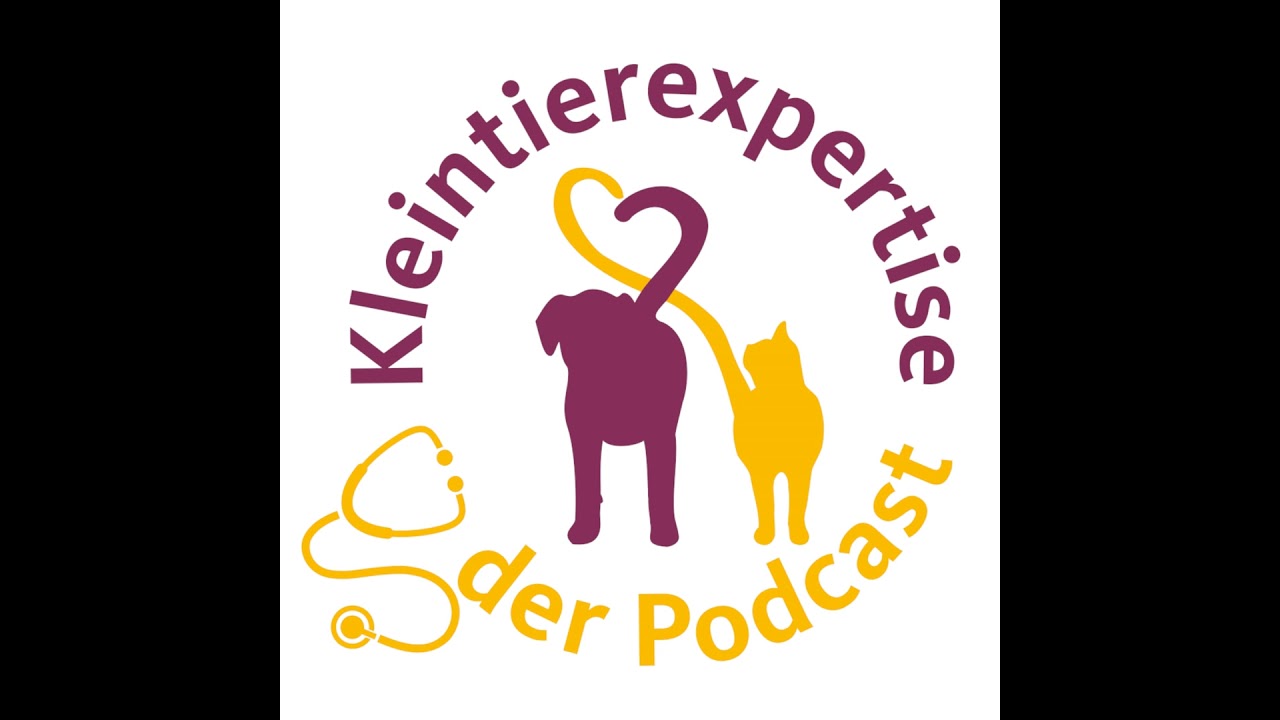 70. FeLV bei Katzen – Wenn das Immunsystem schwächer wird