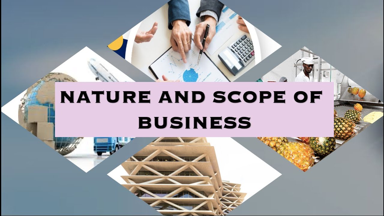 Nature and Scope of Business