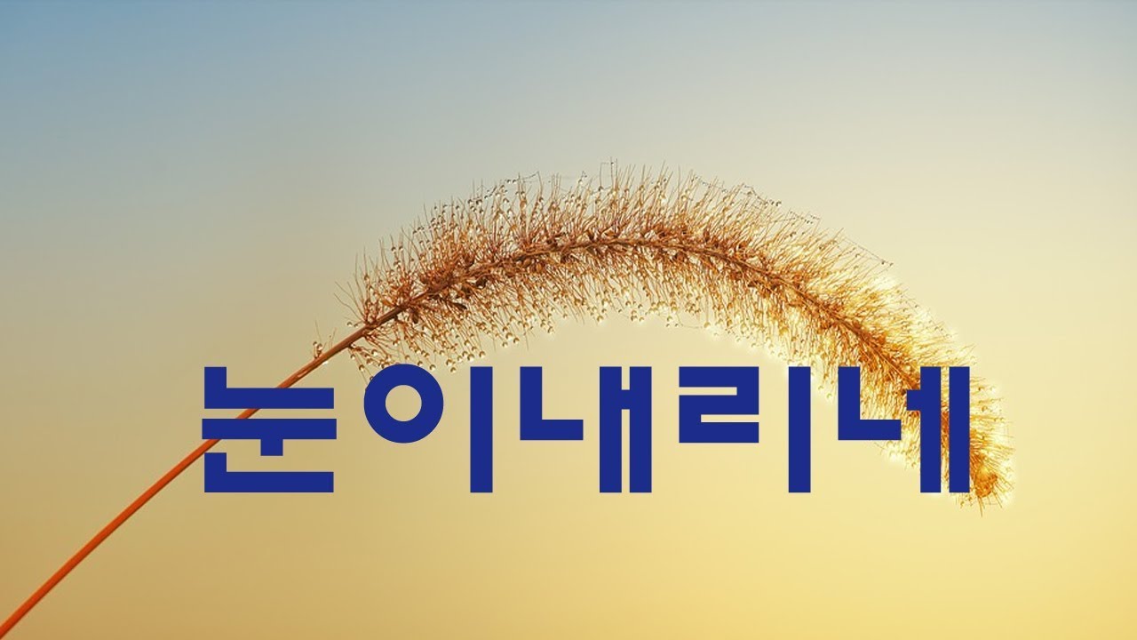가요,  이숙 - 눈이내리네,  반복듣기, 7080, 8090, 국내가요, 한국가요, KPOP