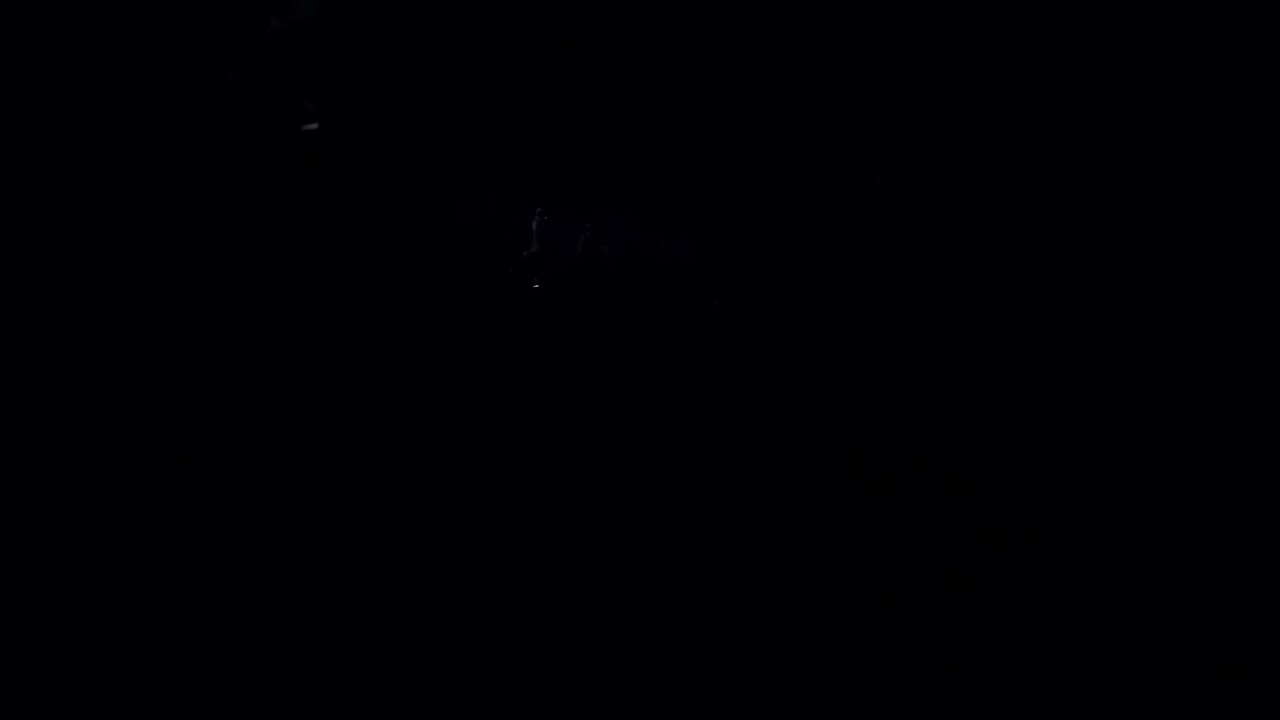 ٢٨ أكتوبر ٢٠٢١(1)