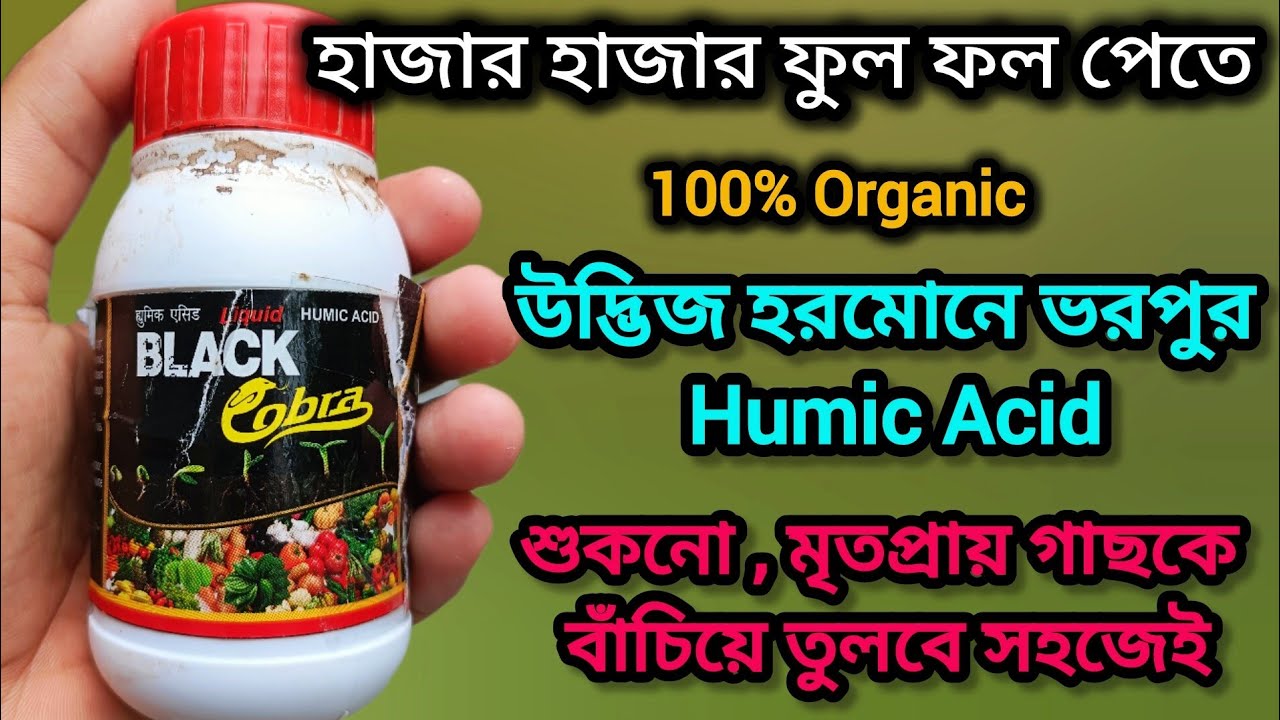 লিকুইড হিউমিক এসিডের বিস্তারিত তথ্য ও সঠিক ব্যাবহার। Benefits of  Liquid Humic Acid / Humic Acid