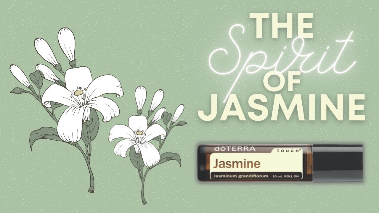 The Spirit of Jasmine Essential Oil