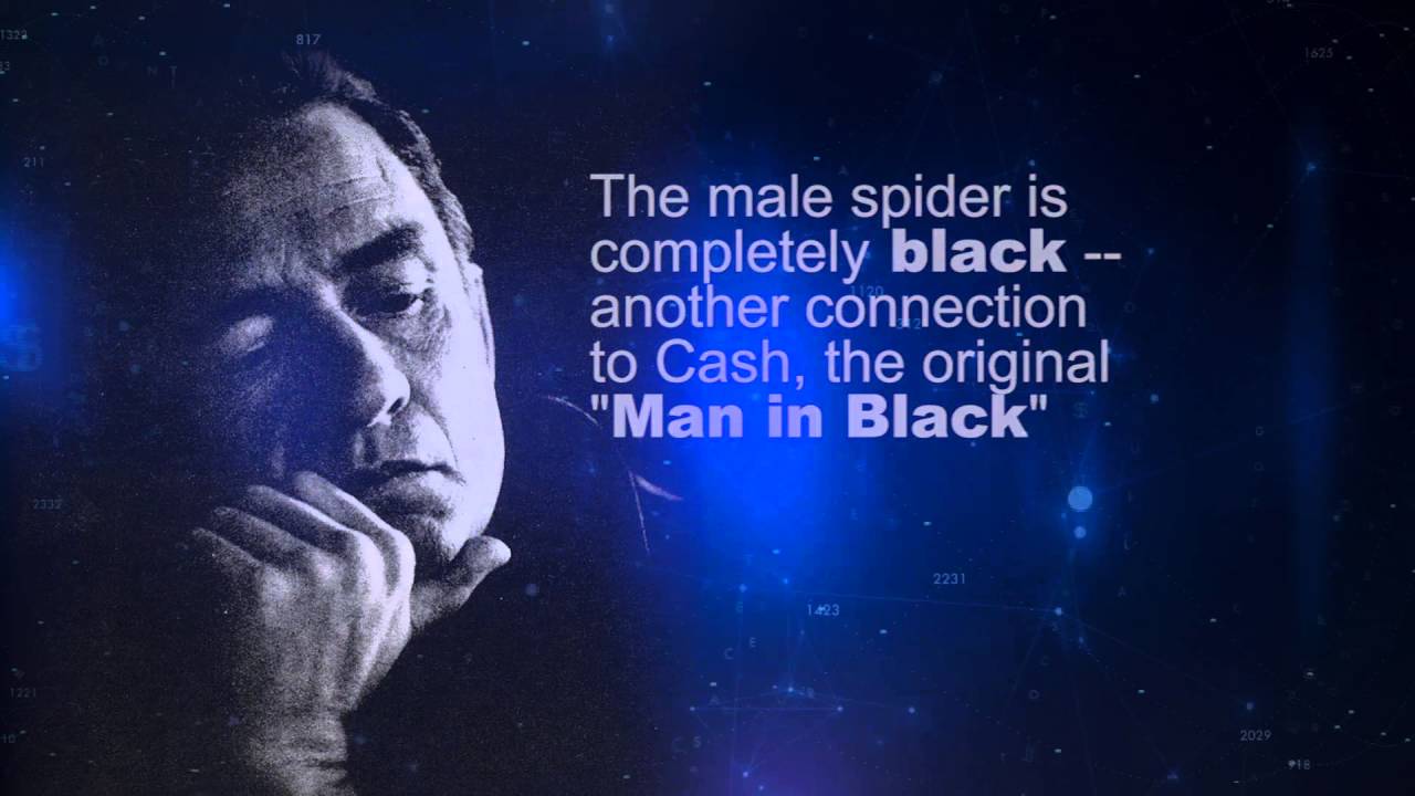 A Matter of Fact: Tarantulas | SciTech Now