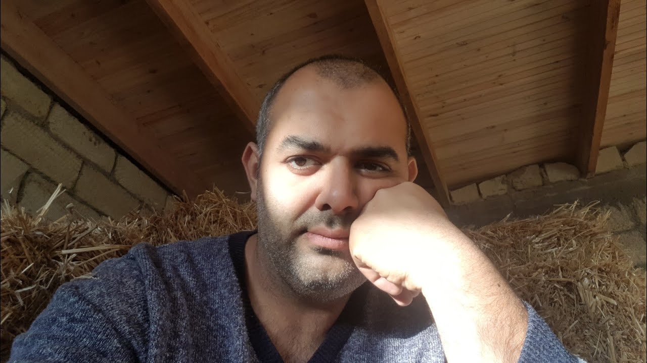 Toyuqlara çörək vermək olarmı ? Ziyanları nədir !?